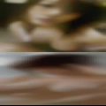 Most bussy pussy pictuew
