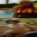 Bear fucks face after cuming