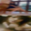 Full woman sucking fucking sex