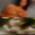 Persion tites pussy poseres