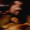 Chcks puting thngs thir sluts