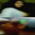 Whores that fuck anything girls