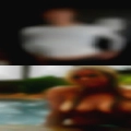 Bear fucks face after cuming